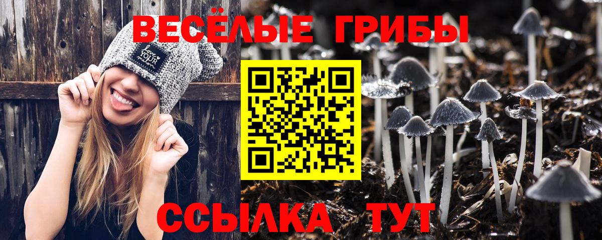 Псилоцибиновые грибы прущие грибы Первоуральск