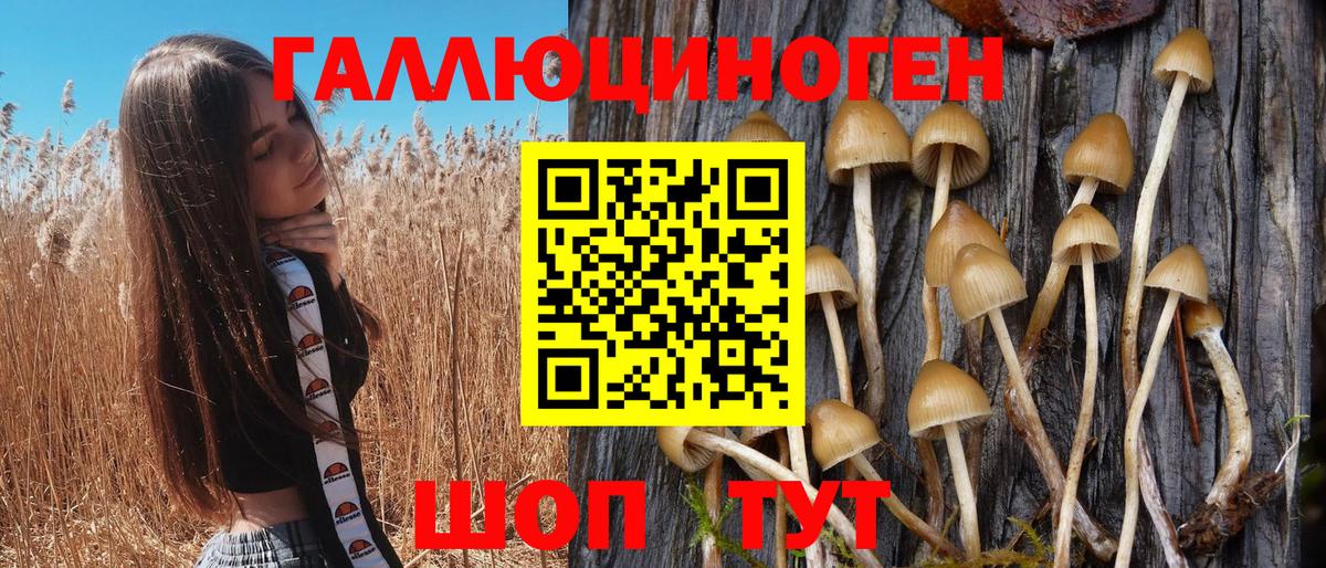 Псилоцибиновые грибы Psilocybe  Вход с VPN  Первоуральск  сколько стоит  Псилоцибиновые грибы GOLDEN TEACHER 